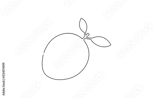 Continuous one single line drawing of kiwi fruit. Vector illustration, Continuous one line drawing of whole and sliced healthy , One continuous self drawing line animation.