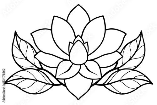 vector illustration of lotus flower