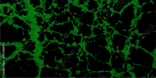 Dynamic network visualization with flowing data streams rendered in luminous blue against deep space black. Texture crack ground skin bone. Abstract crack wall design on black background.