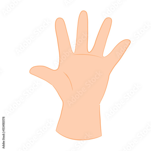 Hand Showing Number Five  Gesture – Flat Vector Illustration