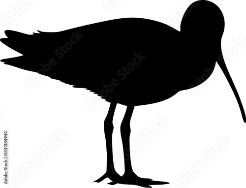 A single sandpiper bird silhouette in profile standing upright on Transparent Background