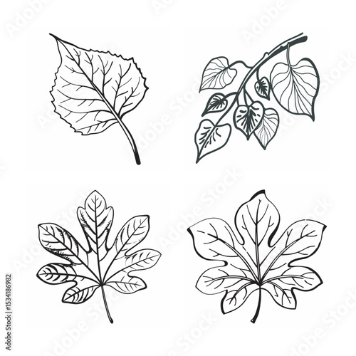 set of leaves line art bundle on the white background