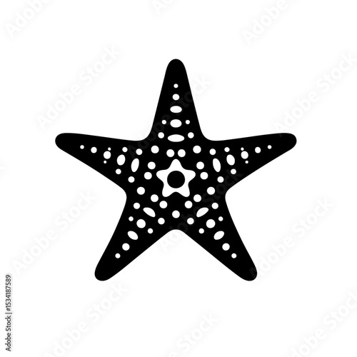 Starfish Silhouette