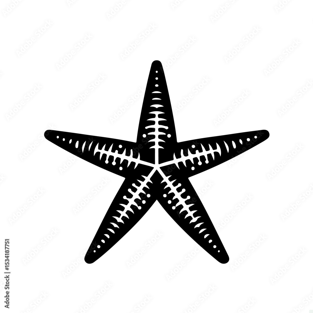 Fototapeta premium Starfish Silhouette