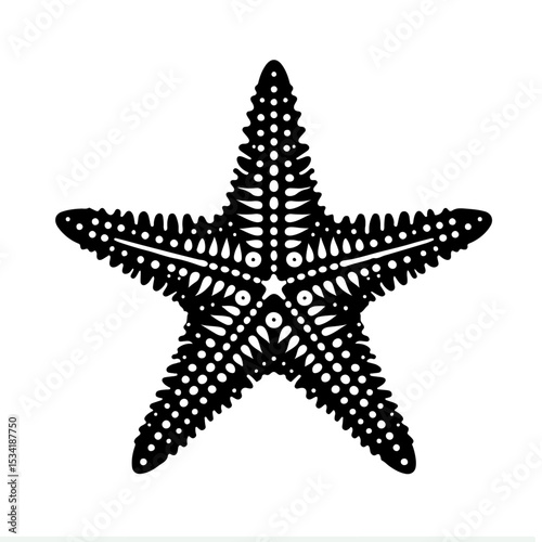 Starfish Silhouette