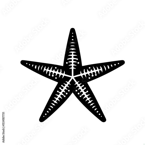 Starfish Silhouette