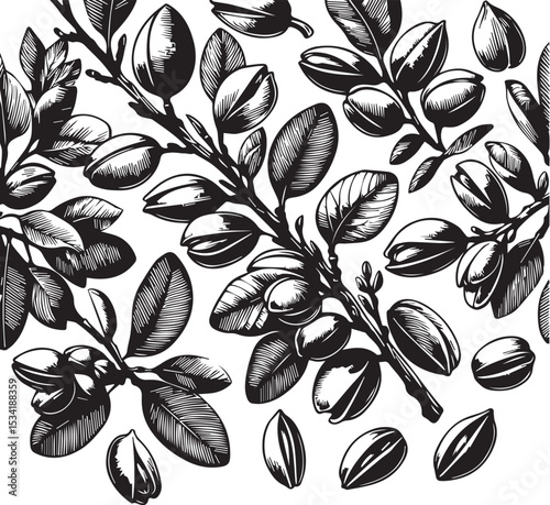 Pistachio branch seamless border with nuts and leaves. Vector black and white illustration hand drawn with ink silhouette vector