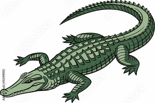 Realistic green alligator illustration with textured scales and curved tail