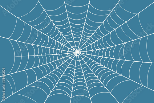 spider on web