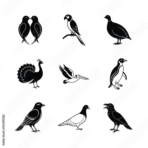 Collection of black and white bird silhouettes including parrot peacock penguin and pigeon illustrations