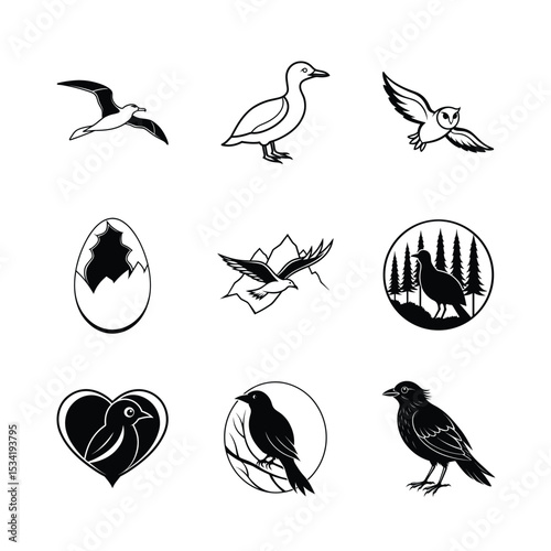 Set of black and white bird illustrations including seagull duck owl and other avian silhouette designs