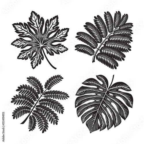 silhouette of black and white leaves set bundle on the white background