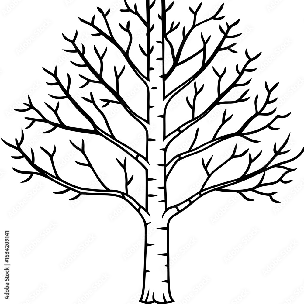 Obraz premium Birch line art vector