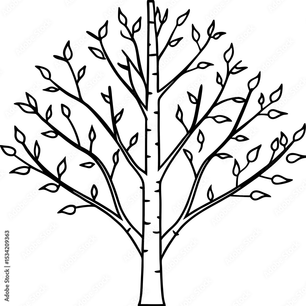 Obraz premium Birch line art vector