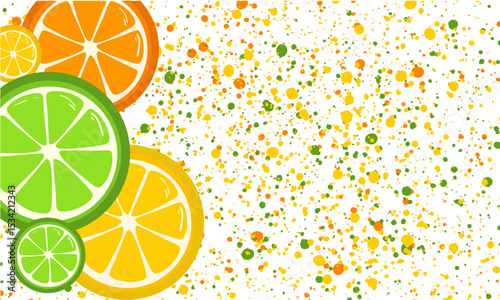 Citrus slices design. White background. Vector food banner.