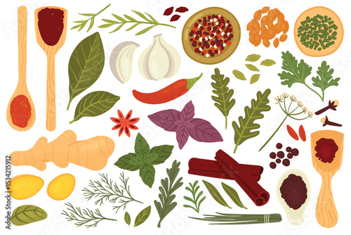Spice herb set for cooking food vector illustration. Cartoon fresh organic spice plant menu in herbal collection with basil leaf rosemary mint parsley ginger garlic pepper dill isolated on white