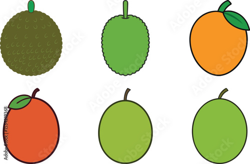 Bundle of Jackfruit, Miracle Fruit, and Olive on White Background