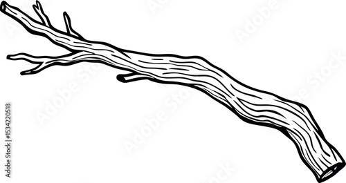 Realistic Driftwood Branch Vector Illustration for Nature Designs