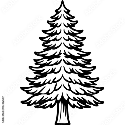 Cedar line art vector