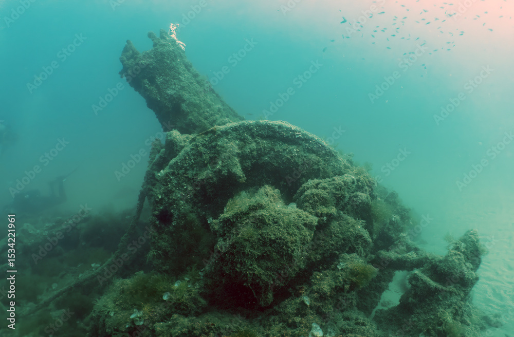 Fototapeta premium The wreck of Vapor del Miracle in Tarragona, Spain