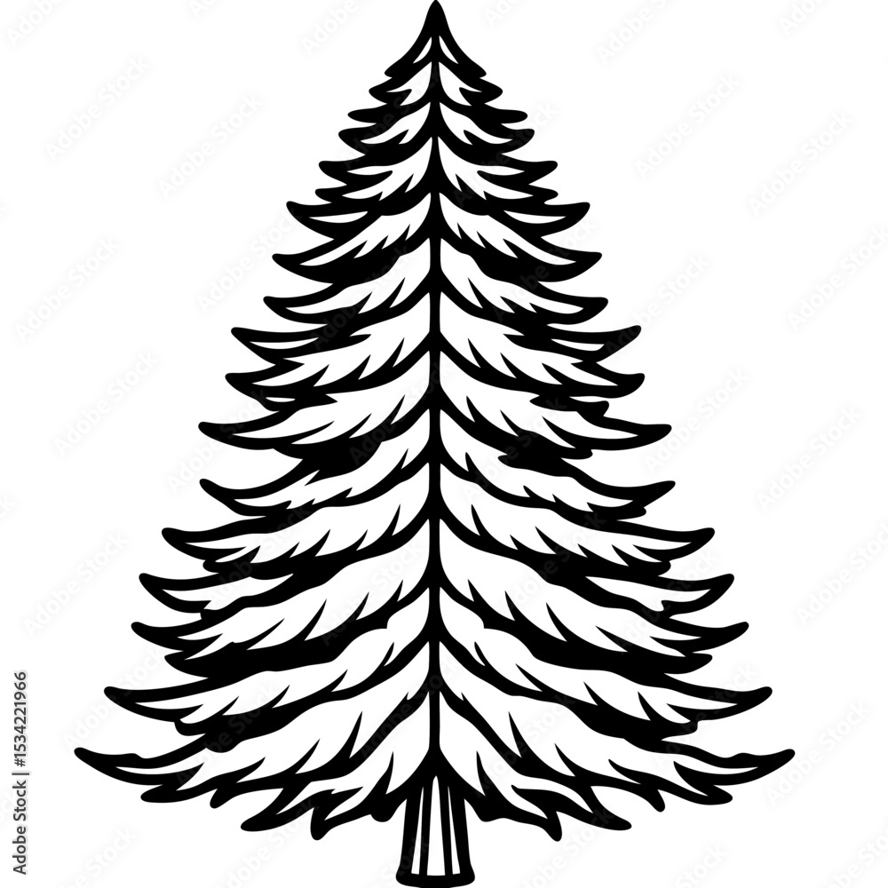 Obraz premium Cedar line art vector