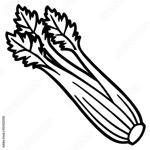 Celery line art vector