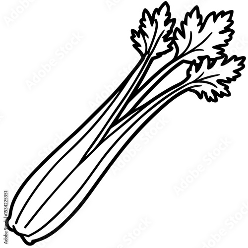 Celery line art vector
