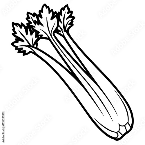 Celery line art vector