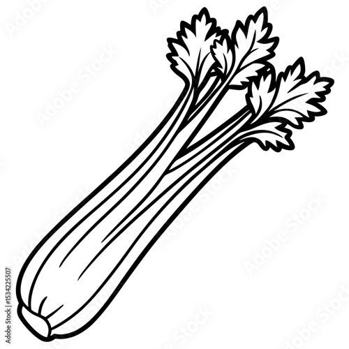 Celery line art vector