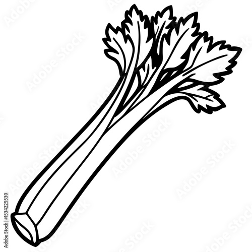 Celery line art vector