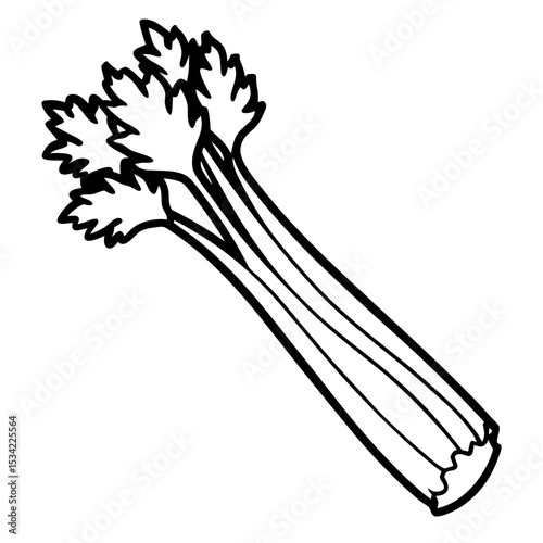 Celery line art vector