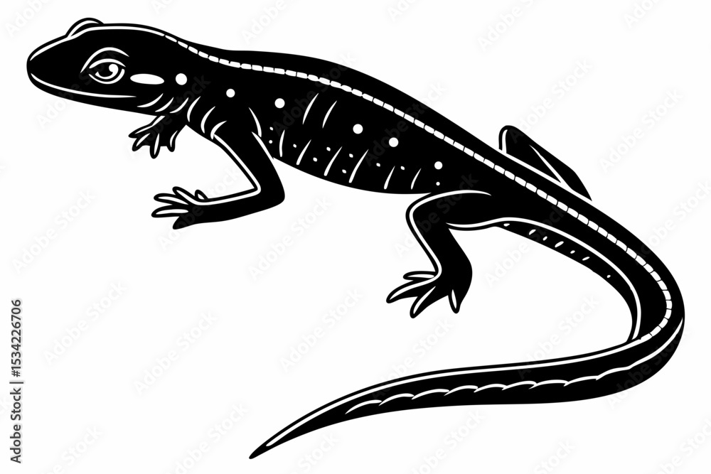 Fototapeta premium eastern newt sihouette black vector