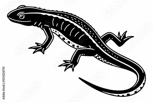 eastern newt sihouette black vector