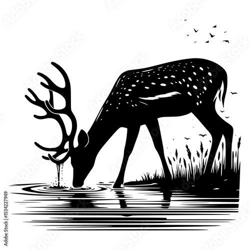 Silhouette of a deer drinking water at sunset