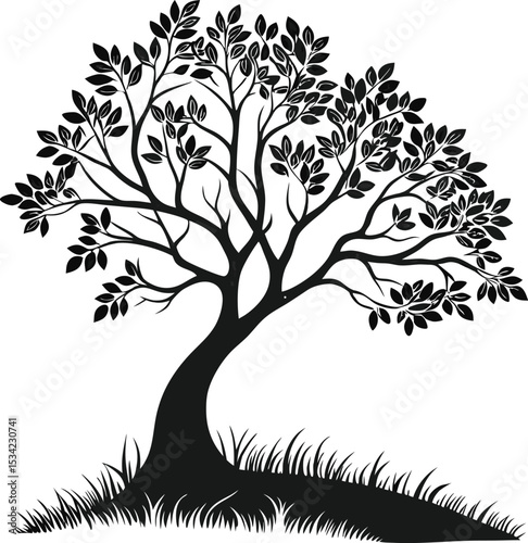 Various tree vectors. Forest and nature concept.