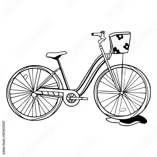 retro women's bicycle with flower basket