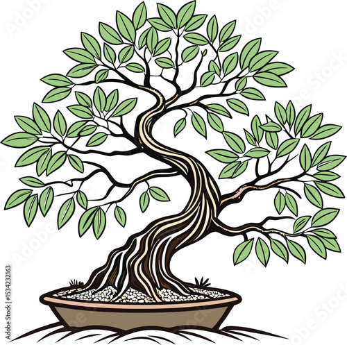  Vector illustration Miniature Bonsai Trees bonsai icon isolated on a white background.