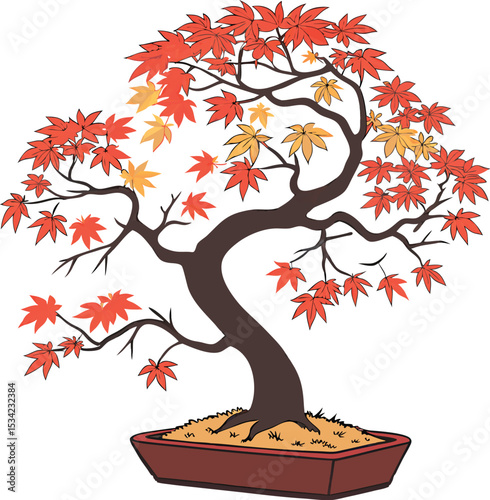 vector illustration of japanese maple tree bonsai.