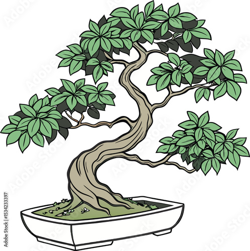  Vector illustration Miniature Bonsai Trees bonsai icon isolated on a white background.