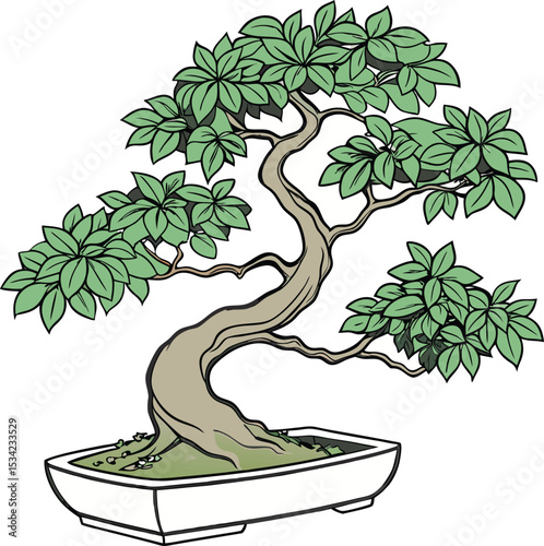  Vector illustration Miniature Bonsai Trees bonsai icon isolated on a white background.