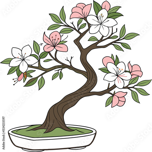  Vector illustration of a magnolia bonsai tree using bold, graphic strokes. Focus on strong lines and impactful shapes.