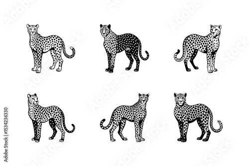 i need vectors silhouette cheetah