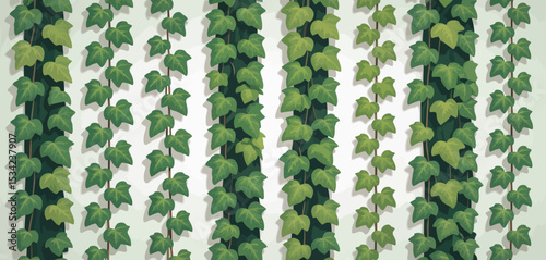 Vertical Seamless Pattern of Climbing Ivy Plants on White Wall