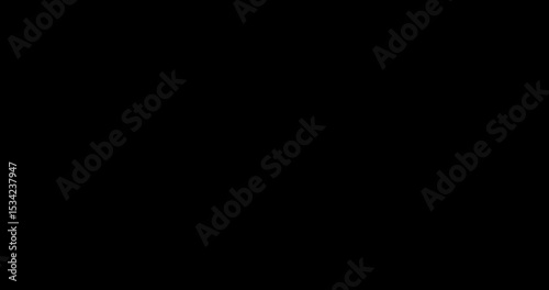 Circle Burst Motion Graphics Animation for Business Projects, circle transitions in After Effects shiny, blast on black screen background. circles loop animation good for business or any other project