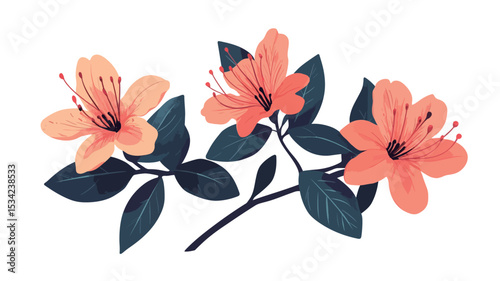 A digital illustration depicting a branch of three peach-colored azalea blossoms.  The blossoms are rendered in a slightly painterly style with soft shading and color variation.  The leaves are a