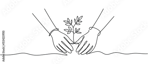 Hands Gently Planting a Delicate Sapling in the Ground