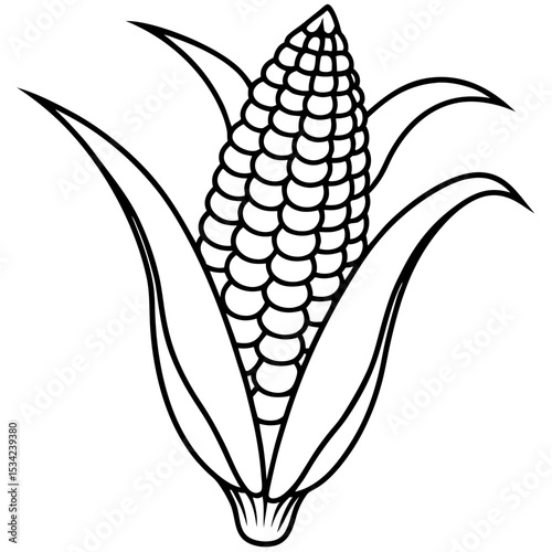 Corn line art vector