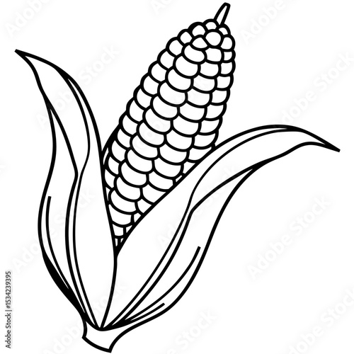 Corn line art vector