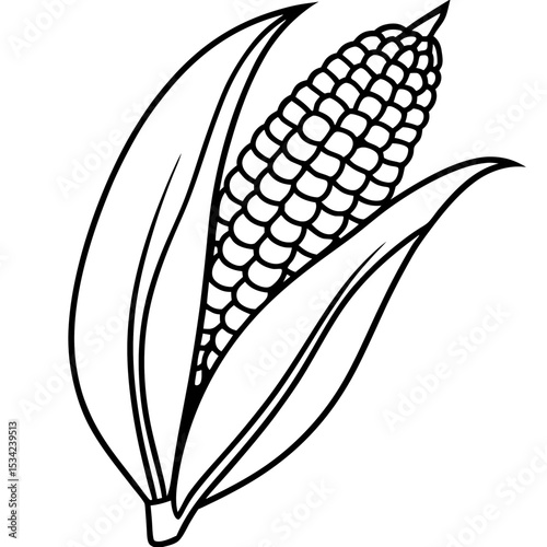 Corn line art vector