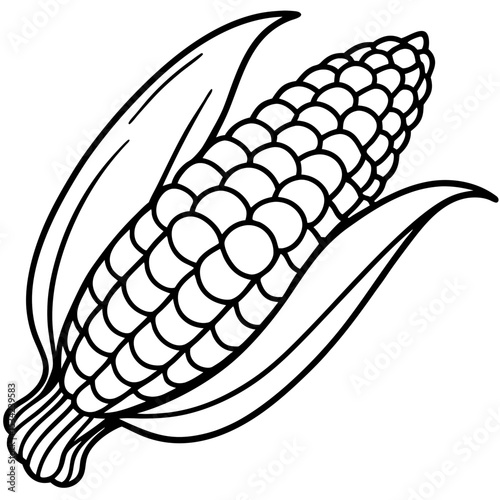 Corn line art vector